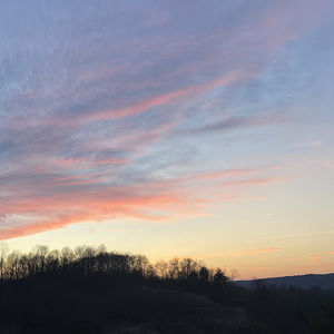 Meet your Posher, Alaina